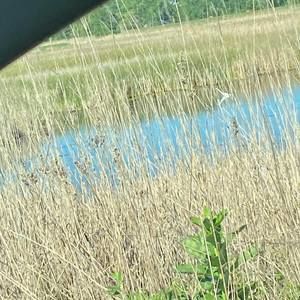 Meet your Posher, Krissy